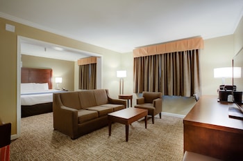 Premier Suite,1 King Bed, Non Smoking