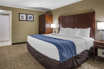 Deluxe Room, 1 King Bed with Whirlpool, Non Smoking
