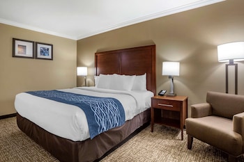 Deluxe Room, 1 King Bed, Non Smoking