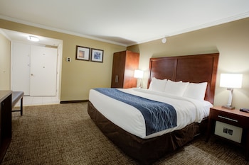 Deluxe Room, 1 King Bed, Accessible Whirlpool Tub, Non Smoking