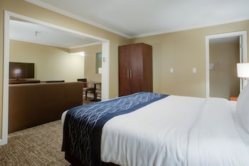 Premier Suite,1 King Bed, Non Smoking