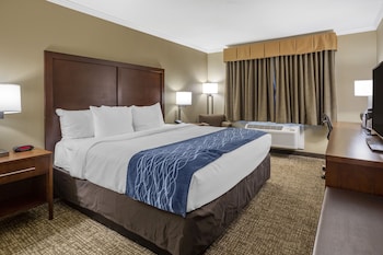 Deluxe Room, 1 King Bed, Non Smoking