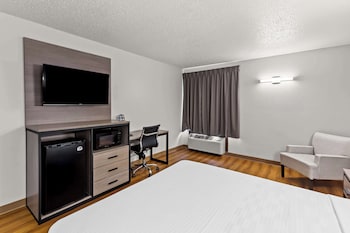 Room, 1 King Bed (Pet Friendly)