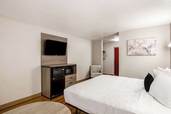 Business Room, 1 King Bed