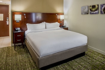 Room, 1 King Bed