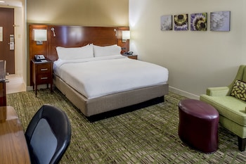 Concierge Room, Room, 1 King Bed