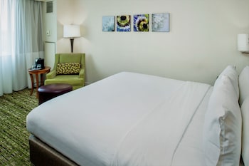 Concierge Room, Room, 1 King Bed