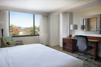 Room, 1 King Bed