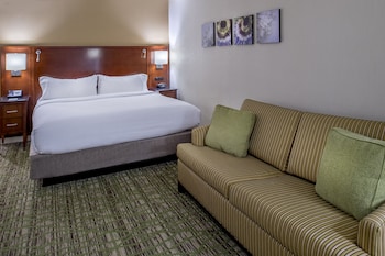 Concierge Room, Room, 1 King Bed