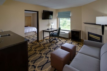 Suite, 1 King Bed with Sofa bed