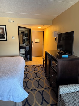 Room, 1 King Bed