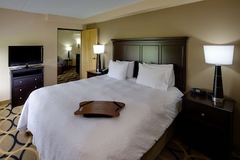 Suite, 1 King Bed with Sofa bed