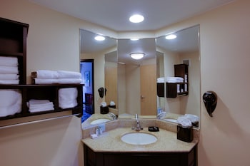 Suite, 1 King Bed with Sofa bed