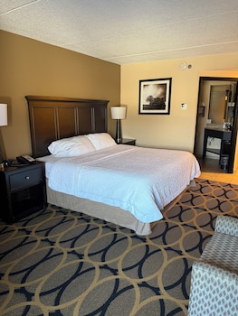 Room, 1 King Bed