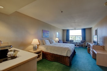 Standard Room, 1 King Bed (Pet Friendly)