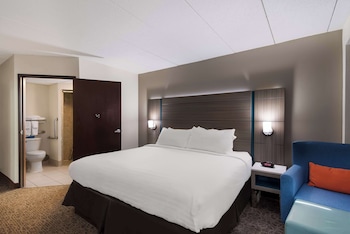 Standard Room, 1 King Bed, Accessible, Refrigerator & Microwave