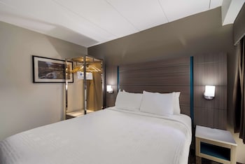 Standard Room, 1 Queen Bed, Non Smoking, Refrigerator & Microwave (Small Room)