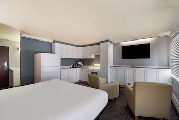 Standard Room, 1 King Bed, Non Smoking, Kitchen (Larger Room)