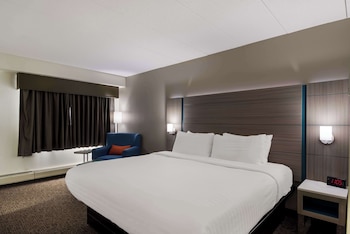 Standard Room, 1 King Bed, Non Smoking, Refrigerator & Microwave
