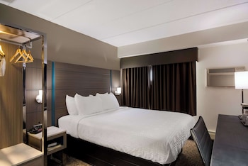 Standard Room, 1 Queen Bed, Non Smoking, Refrigerator & Microwave (Small Room)