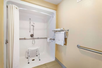 Standard Room, 1 King Bed, Accessible, Non Smoking