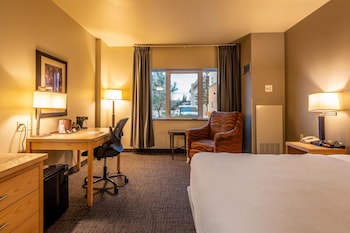 Room, 1 King Bed