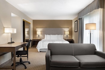 Studio Suite, 1 King Bed with Sofa bed, Non Smoking