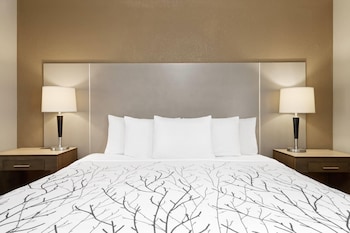 Studio Suite, 1 King Bed with Sofa bed, Non Smoking
