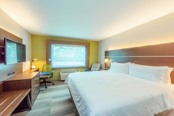 Standard Room, 1 King Bed, Accessible (Roll-In Shower)