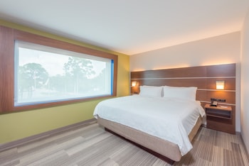 Standard Room, 1 King Bed, Accessible (Roll-In Shower)