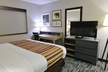 Room, 1 King Bed, Non Smoking