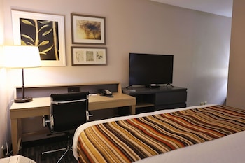 Room, 1 King Bed, Non Smoking