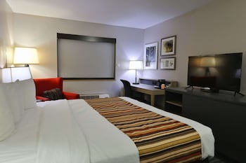 Room, 1 King Bed with Sofa bed, Non Smoking
