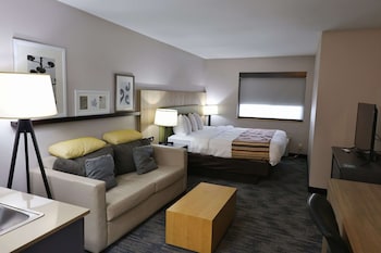 Room, 1 King Bed with Sofa bed, Non Smoking