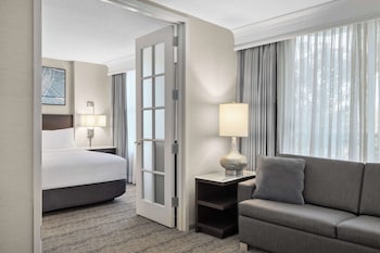 Room, 1 King Bed with Sofa bed, Accessible, Bathtub