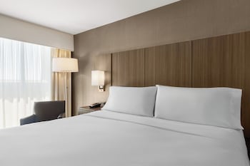 Standard Room, 1 King Bed (Bath/Shower Combo)
