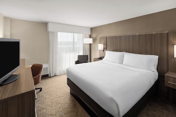 Standard Room, 1 King Bed (Bath/Shower Combo)