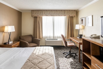 Standard Room, 1 King Bed, Non Smoking