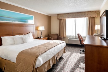 Standard Room, 1 King Bed, Non Smoking