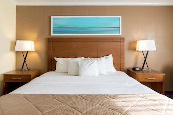 Standard Room, 1 King Bed, Non Smoking