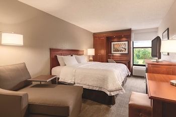 Room, 1 King Bed, Non Smoking (Study with Chaise)