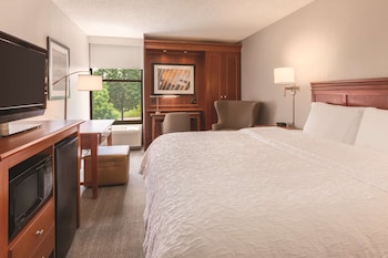 Room, 1 King Bed, Non Smoking
