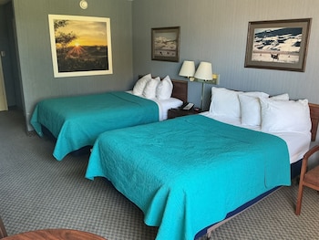Basic Double Room, 2 Double Beds, Ground Floor