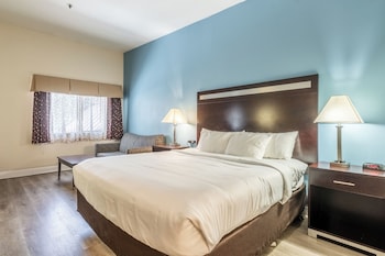 Standard Room, 1 King Bed, Non Smoking
