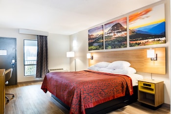 Room, 1 King Bed, Non Smoking (Modern)