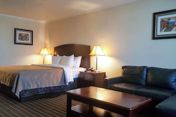 Deluxe Room, 1 King Bed, Non Smoking (Sofa)