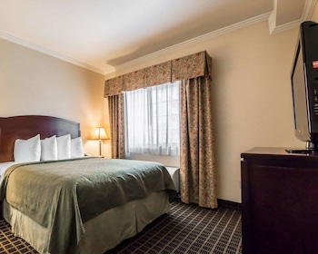 Standard Room, 1 King Bed, Non Smoking (Pet Friendly)
