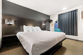 Standard Room, 1 King Bed, Non Smoking