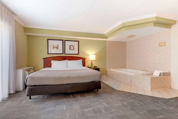 Suite, 1 King Bed, Non Smoking (Upgrade) (Not Pet friendly)