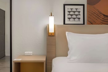Room, 1 King Bed